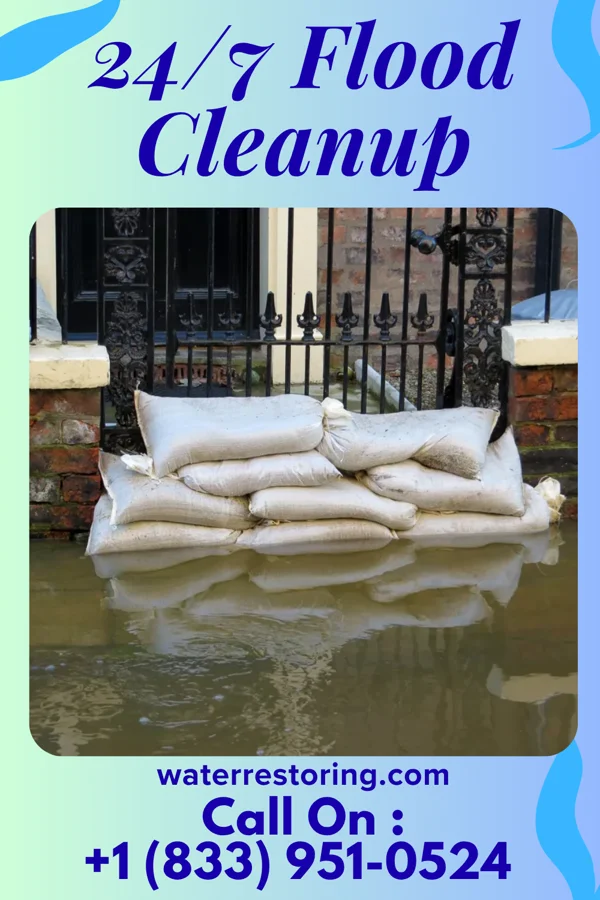 24/7 Flood Cleanup in Hale, MO