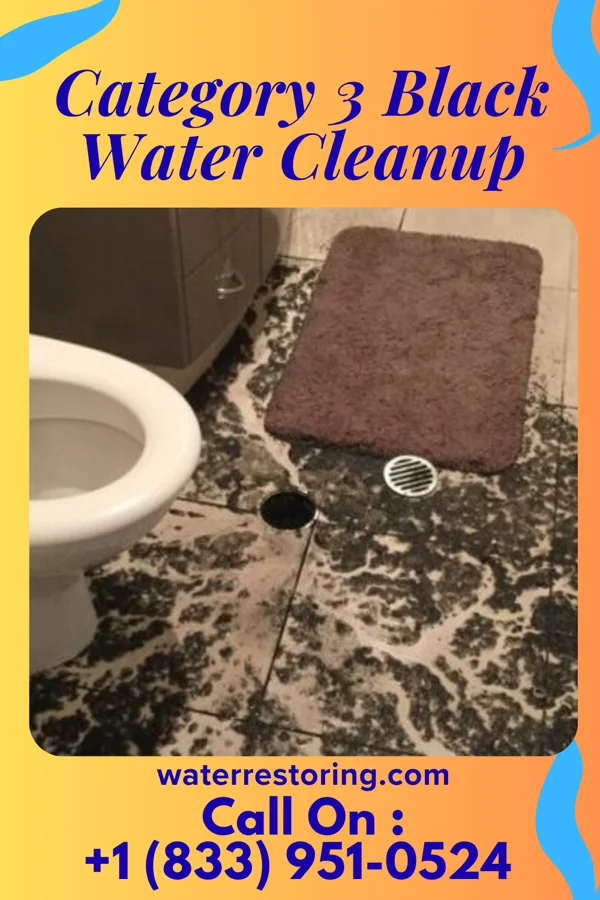 Category 3 Black Water Cleanup in Hale, MO