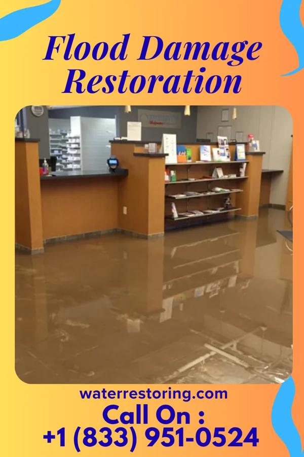 Flood Damage Restoration in Hale, MO