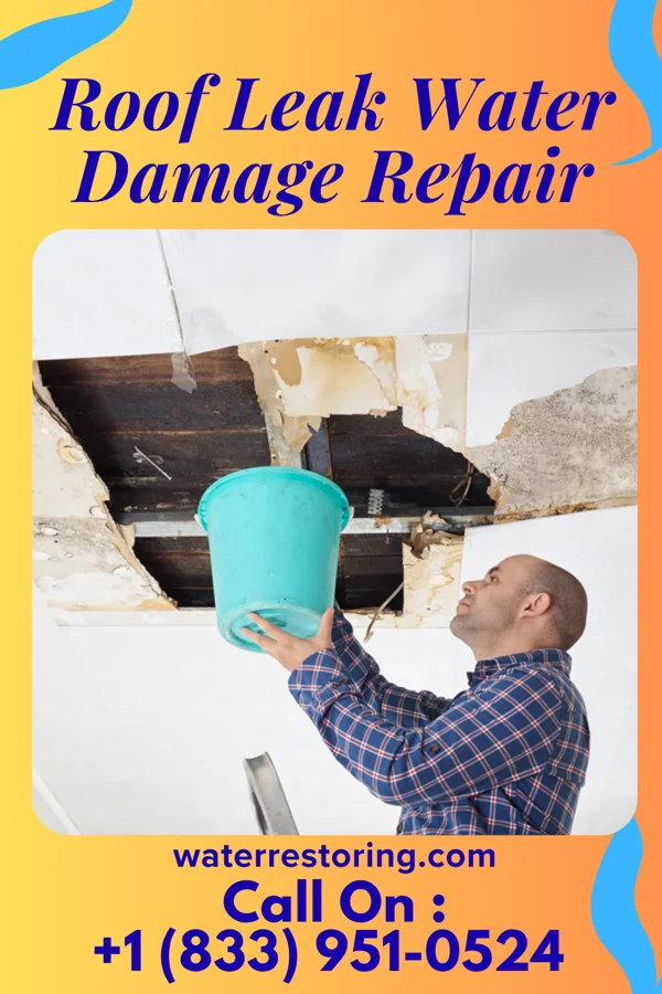 Roof Leak Water Damage Repair in Hale, MO