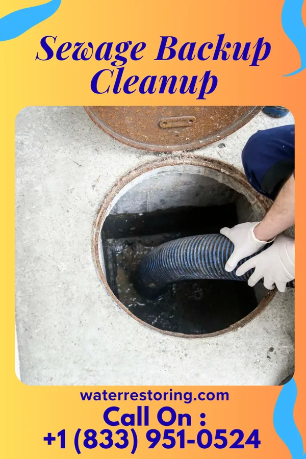 Sewage Backup Cleanup in Hale, MO