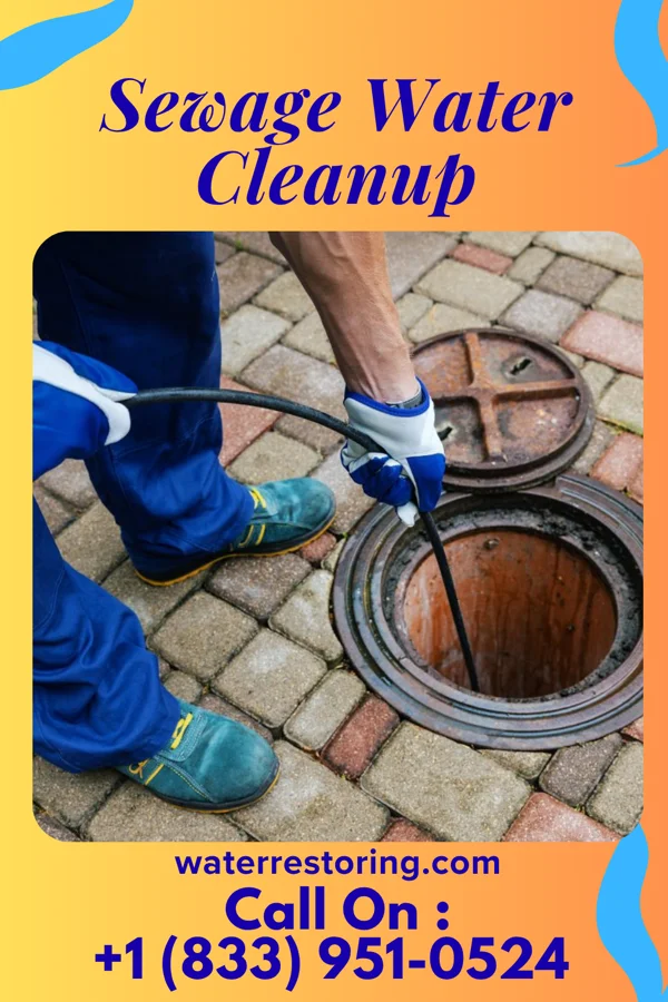 Sewage Water Cleanup in Hale, MO
