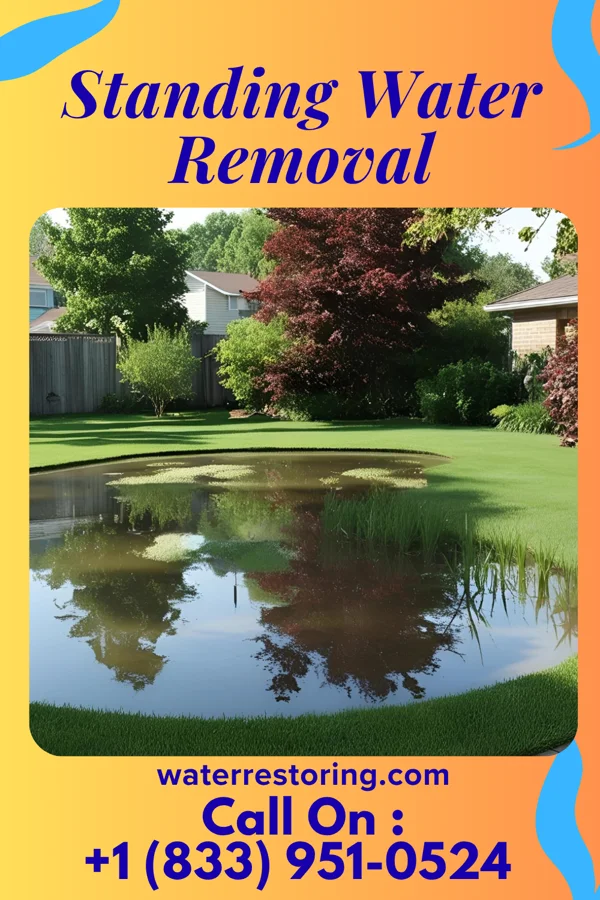 Standing Water Removal in Hale, MO